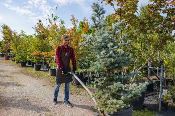 Best Fruit Tree Pruning  in Othello, WA